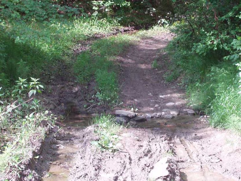 B14 Torrente.JPG - STERRATO DELLE POLLE